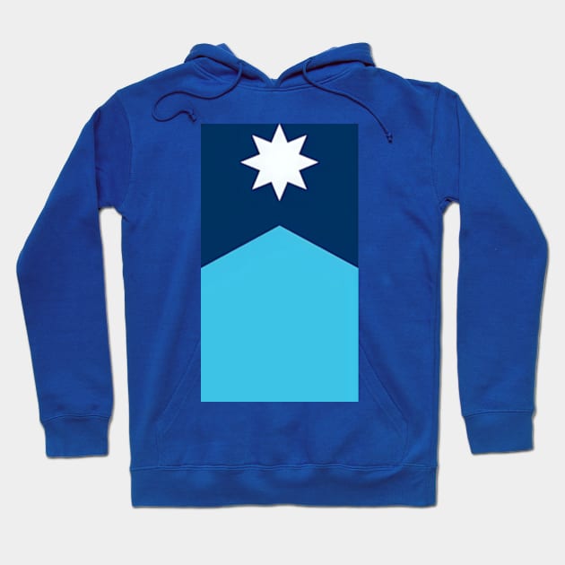 Minnesota State Flag Hoodie by Rogue Clone